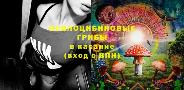 шишки Баксан