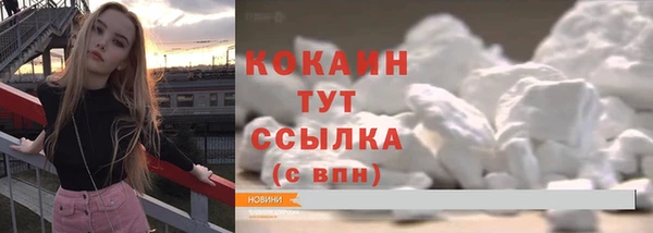 шишки Баксан