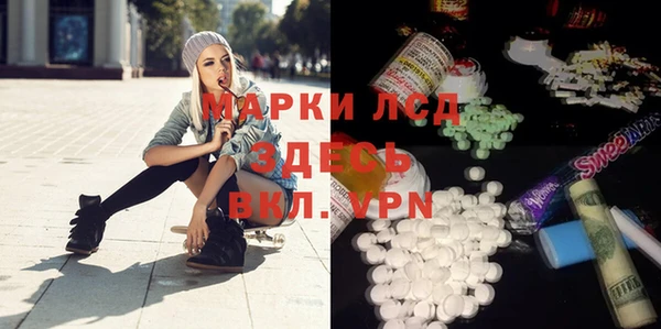 шишки Баксан