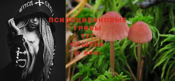 шишки Баксан